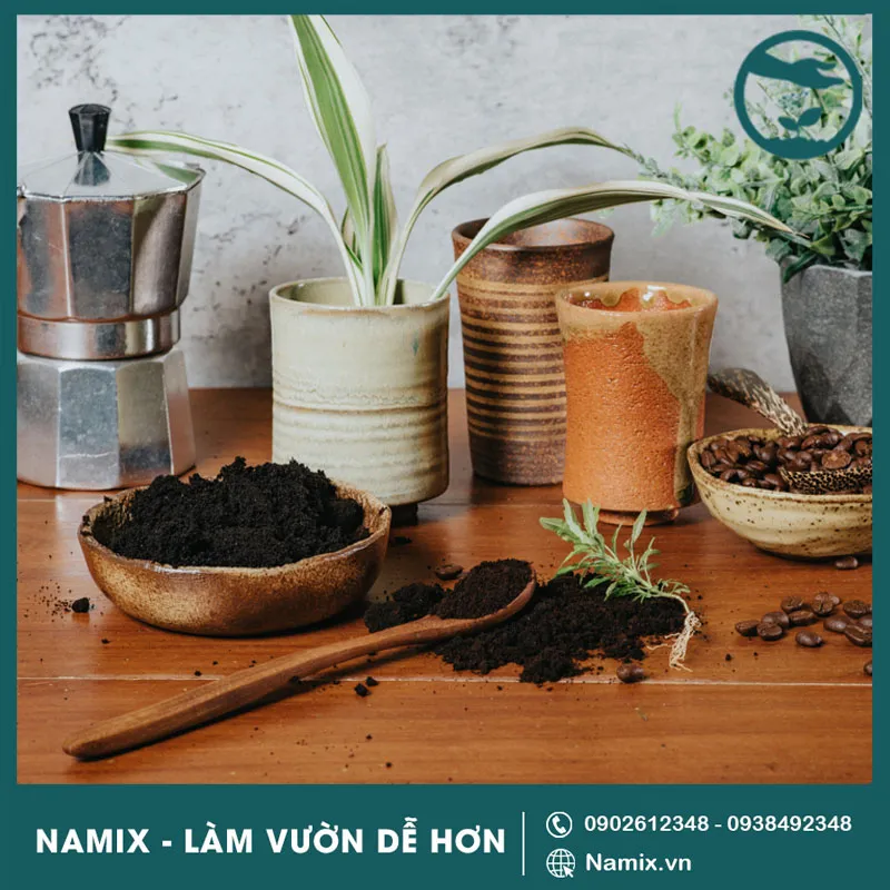 cách ủ bã cà phê trồng cây
