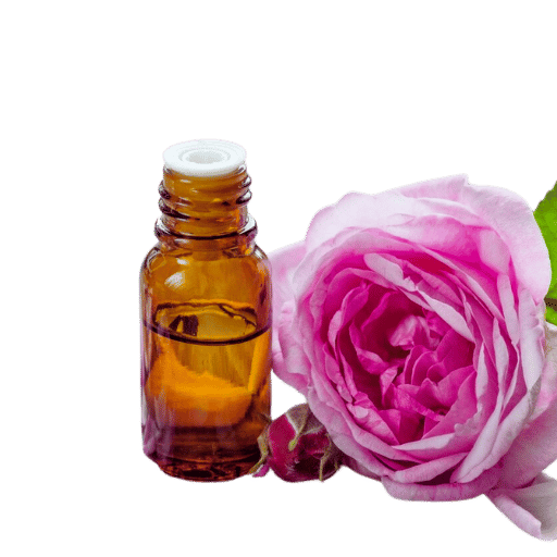 Cách Trồng Bắp Cải Từ Hạt: Hướng Dẫn Chi Tiết Và Toàn Diện