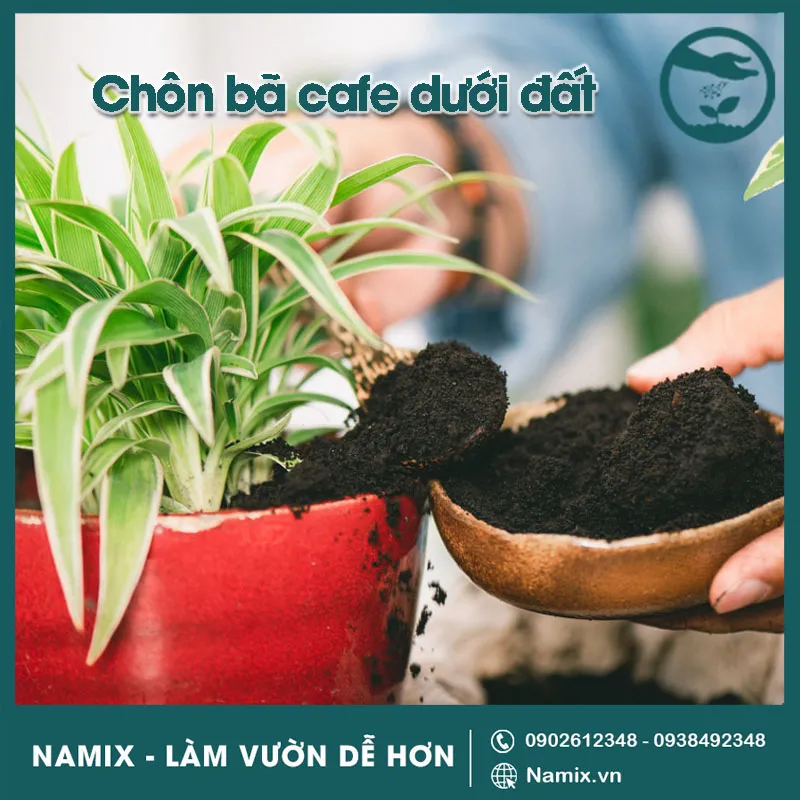 Cách Ủ Bã Cà Phê Trồng Cây: Bí Quyết Bền Vững Từ Khu Vườn Vũ Garden các làm phân bón từ bã cà phê