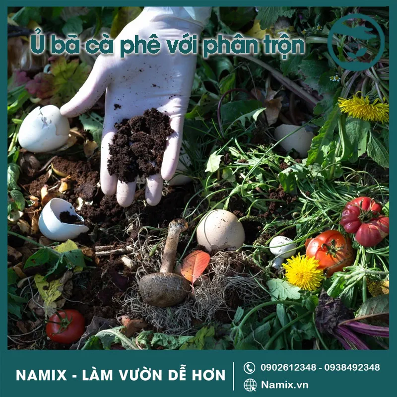 Cách Ủ Bã Cà Phê Trồng Cây: Bí Quyết Bền Vững Từ Khu Vườn Vũ Garden làm phân bón từ bã cà phê