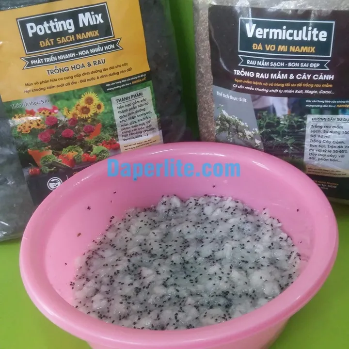 Cảnh tách hạt thanh long bằng phương pháp thủ công và lọc nước