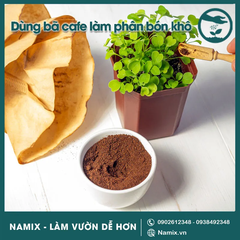 Cách Ủ Bã Cà Phê Trồng Cây: Bí Quyết Bền Vững Từ Khu Vườn Vũ Garden cách ủ bã cà phê trồng cây