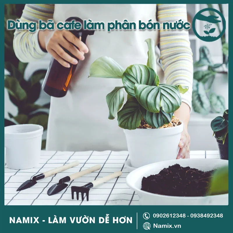 Cách Ủ Bã Cà Phê Trồng Cây: Bí Quyết Bền Vững Từ Khu Vườn Vũ Garden bã cà phê làm phan bón nước