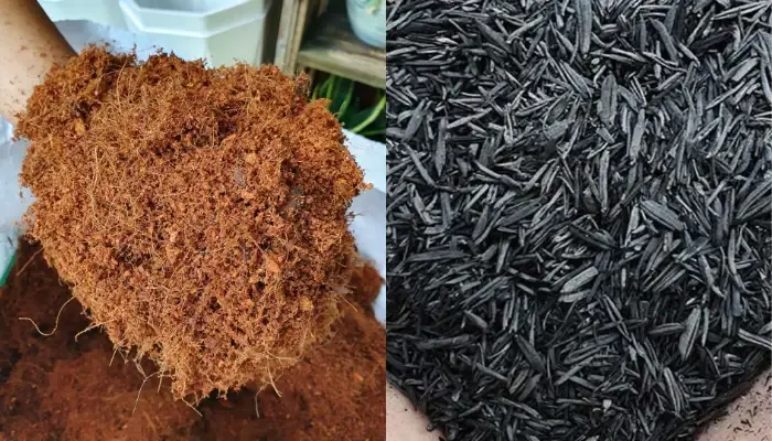 Các vật liệu cần có để phối trộn giá thể trồng dưa lưới