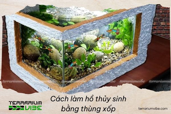 Cách Trồng Cây Thủy Sinh Trong Thùng Xốp Đơn Giản Cho Người Mới Bắt Đầu Cách Trồng Cây Thủy Sinh Trong Thùng Xốp Đơn Giản Cho Người Mới Bắt Đầu