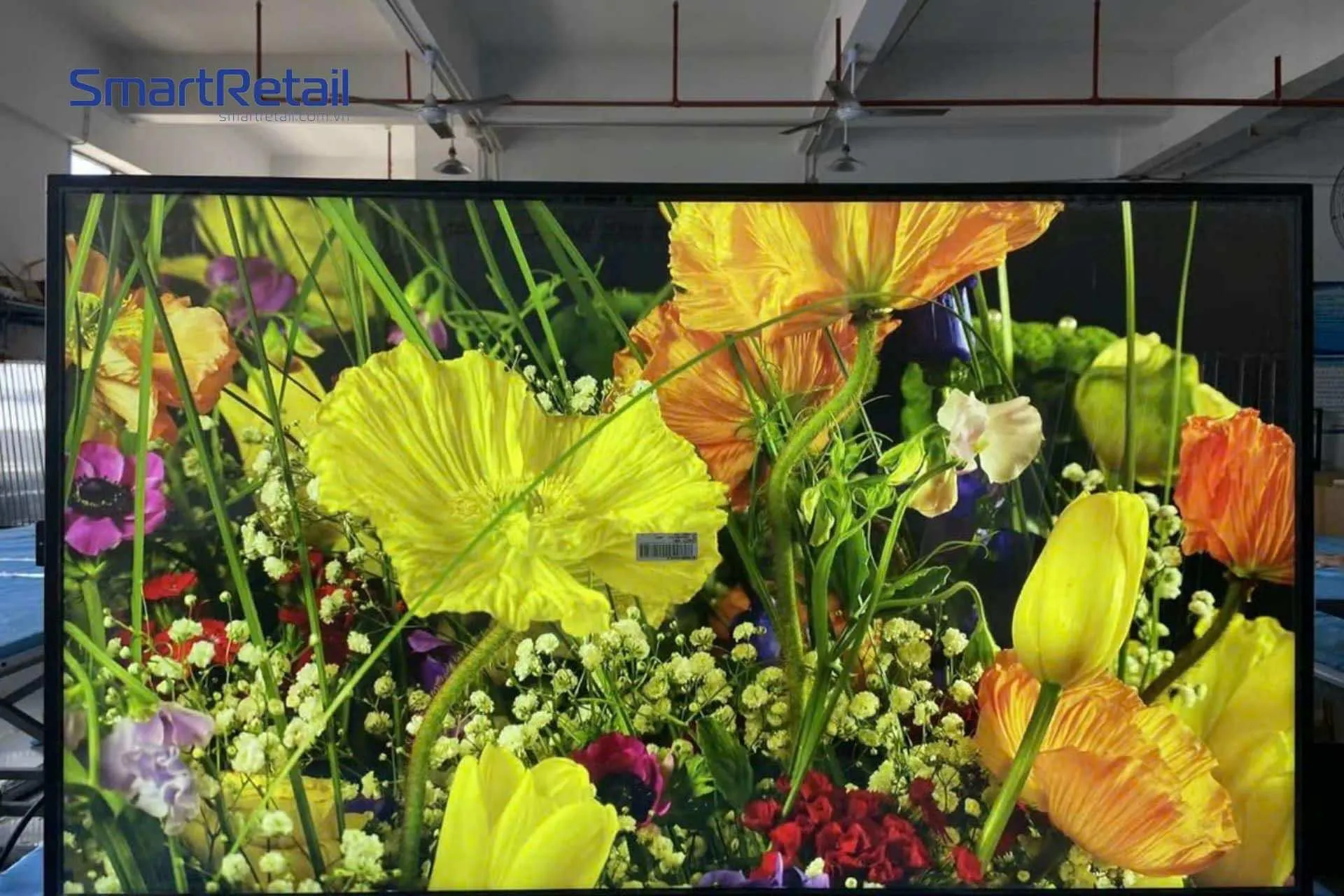 Cách Trồng Sứ Ghép Đúng Kỹ Thuật: Hướng Dẫn Chi Tiết Từ Vũ Garden