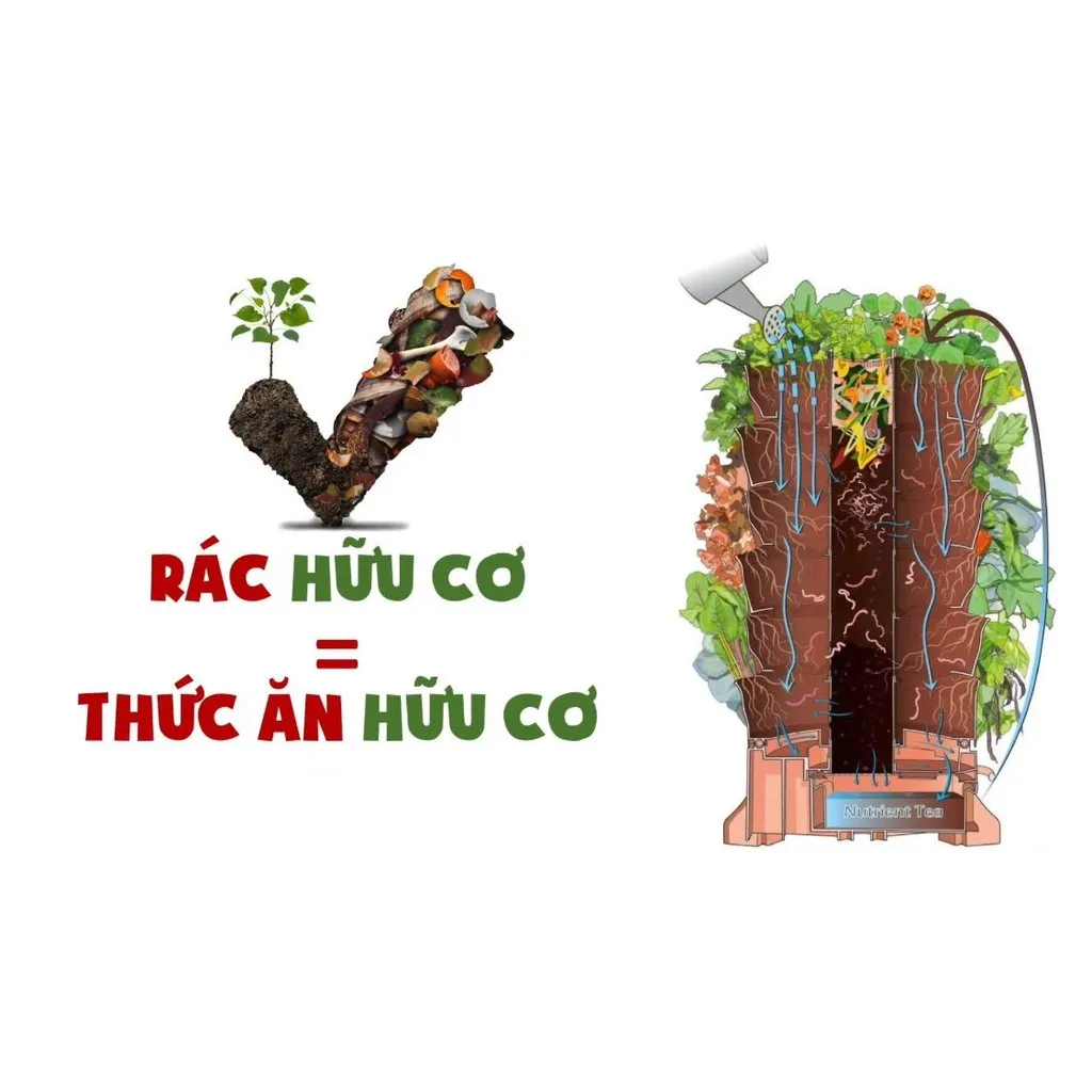Cách trồng rau sạch tại nhà trên tháp rau hữu cơ