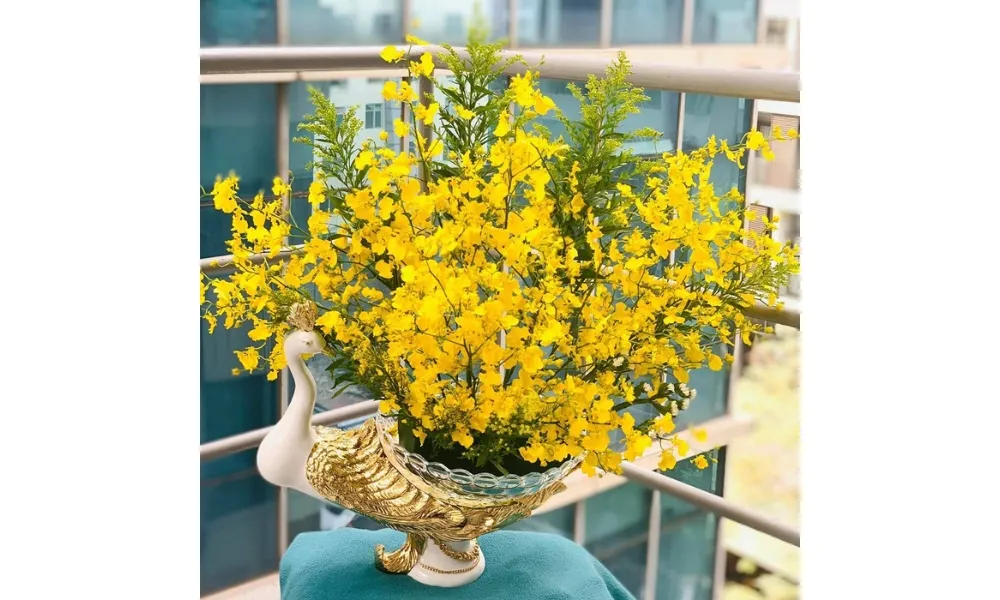 Lan Vũ Nữ Oncidium với vẻ đẹp mỹ miều