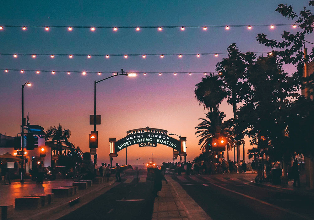 Cảnh Quan Vũ Garden: Thiên Đường Hoa Hồng Cho Người Yêu Cây Cảnh