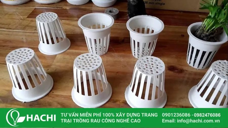 Cách Trồng Rau Trong Thùng Xốp Hiệu Quả: Hướng Dẫn Chi Tiết A-Z Rổ trồng rau thủy canh