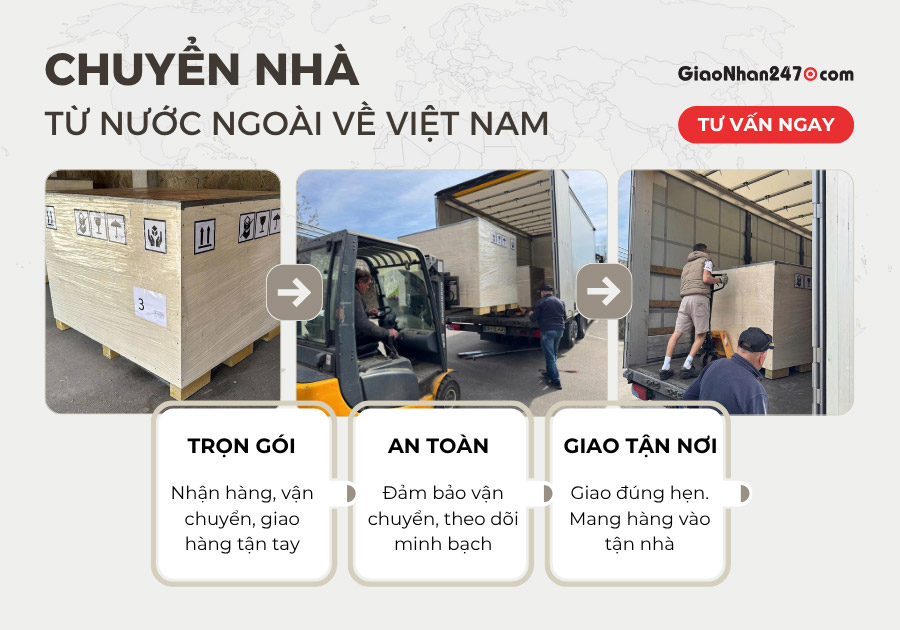 Cách Trồng Hoa Đỗ Quyên Tại TP Hồ Chí Minh: Kỹ Thuật Chăm Sóc Chuyên Sâu Từ A-Z Cách Trồng Hoa Đỗ Quyên Tại TP Hồ Chí Minh: Kỹ Thuật Chăm Sóc Chuyên Sâu Từ A-Z