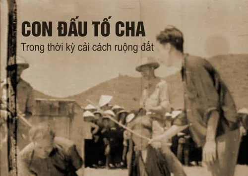 Cách Trồng Dưa Chuột Trong Chậu: Hướng Dẫn Toàn Diện Từ A Đến Z Cho Người Mới Bắt Đầu Cách Trồng Dưa Chuột Trong Chậu: Hướng Dẫn Toàn Diện Từ A Đến Z Cho Người Mới Bắt Đầu