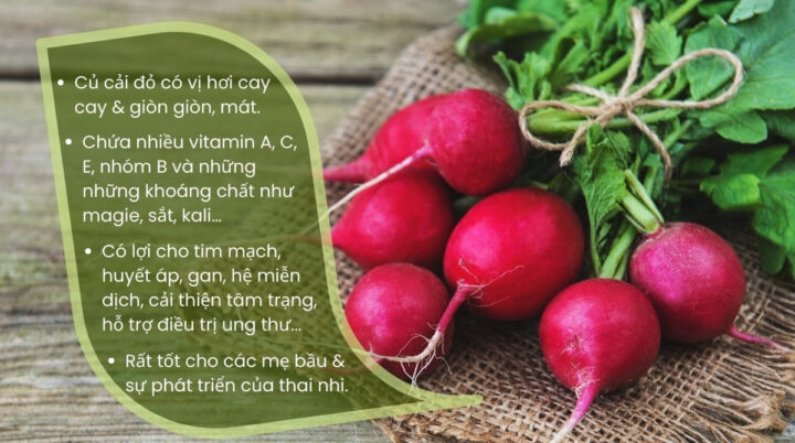 CÁCH TRỒNG CỦ CẢI ĐỎ TẠI NHÀ ĐẠT NĂNG SUẤT CAO CHO NGƯỜI MỚI BẮT ĐẦU CÁCH TRỒNG CỦ CẢI ĐỎ TẠI NHÀ ĐẠT NĂNG SUẤT CAO CHO NGƯỜI MỚI BẮT ĐẦU