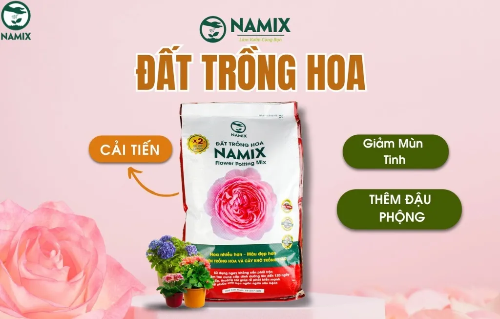 Cách Trồng Hoa Ly Nở Đúng Tết: Hướng Dẫn Chi Tiết Từ Chuyên Gia Cách Trồng Hoa Ly Nở Đúng Tết: Hướng Dẫn Chi Tiết Từ Chuyên Gia