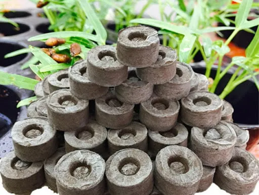 Giá thể xơ dừa chuyên dùng cho phương pháp trồng rau thủy canh