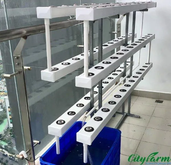 Giàn trồng rau đứng thủy canh cho không gian hẹp