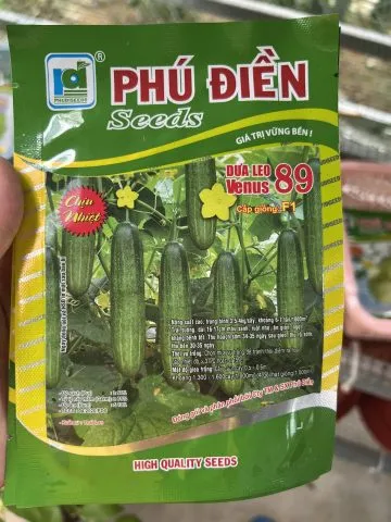 Hạt giống thảo quả chất lượng, yếu tố khởi đầu của cách trồng thảo quả thành công