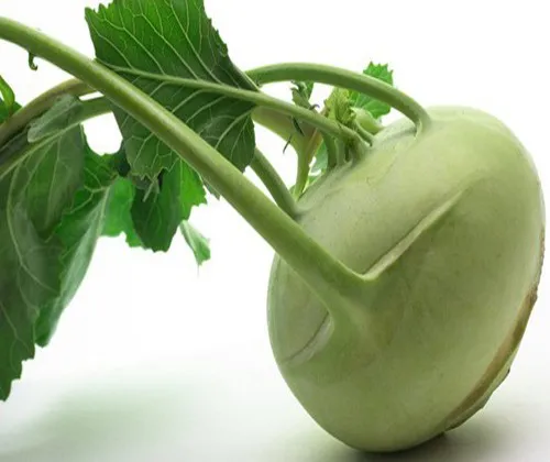 Củ su hào khi phát triển trưởng thành