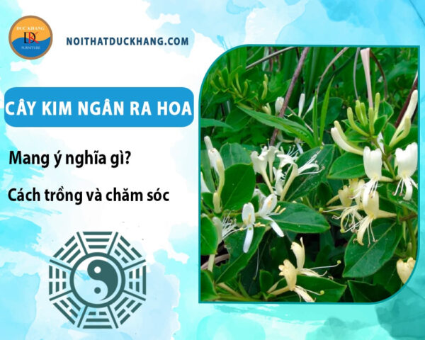 Cách Trồng Hoa Kim Châm: Hướng Dẫn Chi Tiết Từ A Đến Z