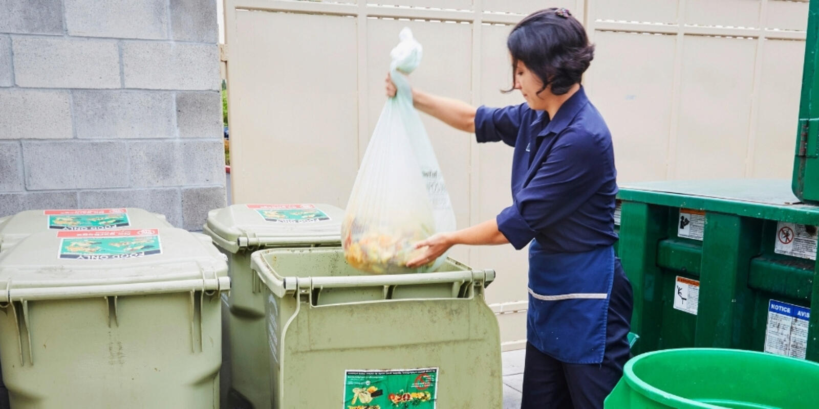 Hướng Dẫn Cách Trồng Rau Sạch Tại Nhà: Nâng Tầm Trải Nghiệm Làm Vườn Hữu Cơ