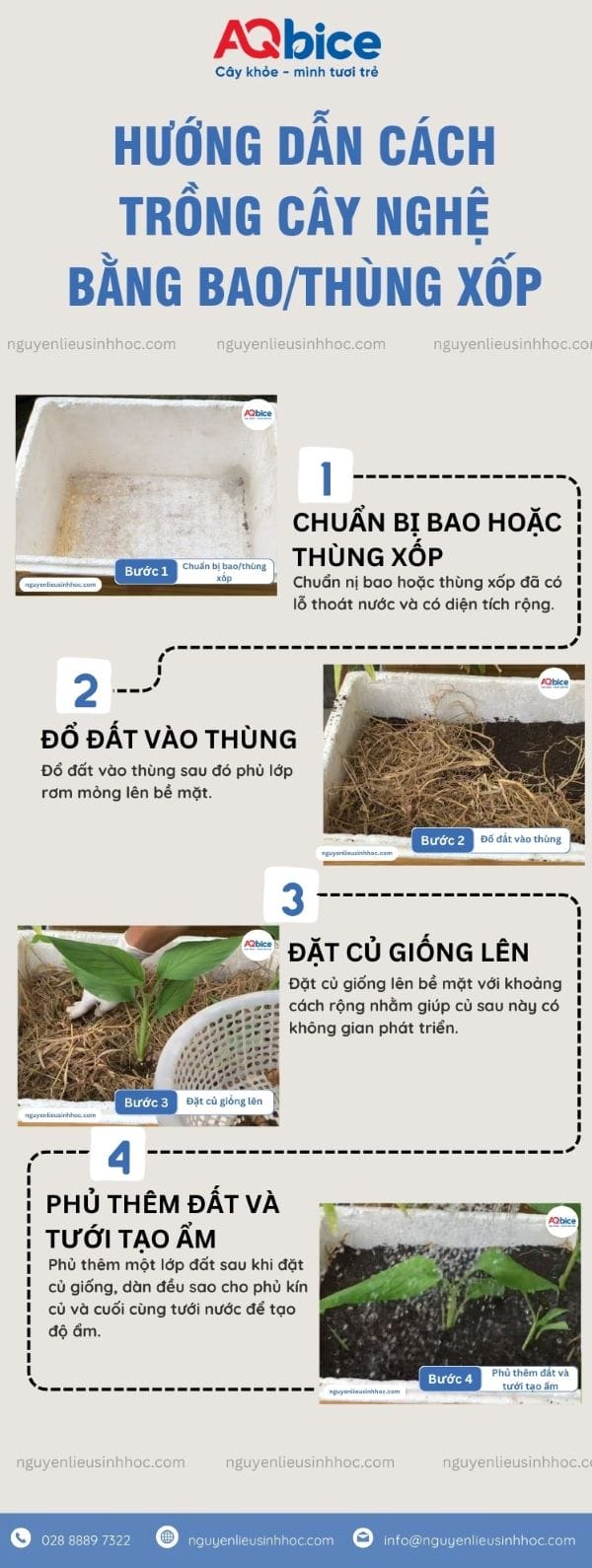 Cách Trồng Củ Hoài Sơn Chi Tiết Cho Năng Suất Cao Tại Việt Nam Cách Trồng Củ Hoài Sơn Chi Tiết Cho Năng Suất Cao Tại Việt Nam
