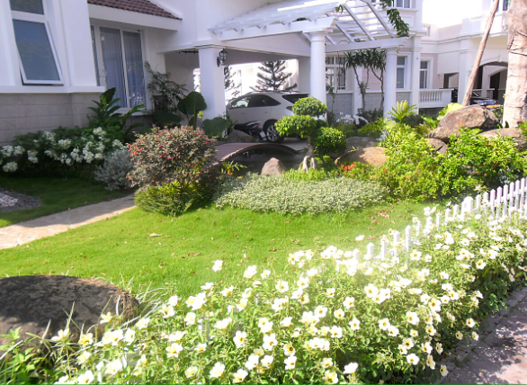 Cách Trồng Cỏ Cho Bò Nổi Bật Và Sự Thật Về Vườn Thượng Uyển Vũ Garden