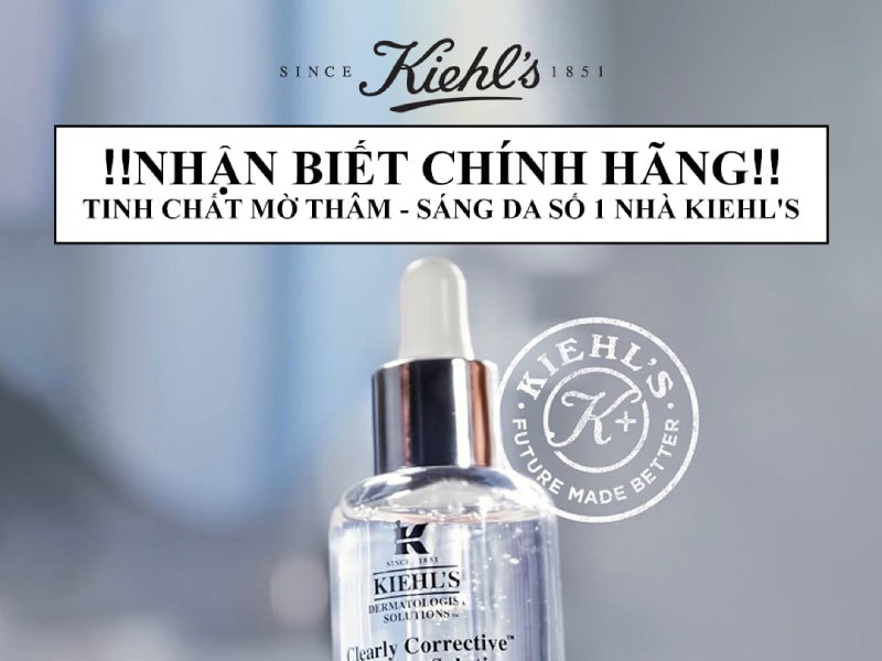 Cách Trồng Hoa Đỗ Quyên Tại TP Hồ Chí Minh: Kỹ Thuật Chăm Sóc Chuyên Sâu Từ A-Z Cách Trồng Hoa Đỗ Quyên Tại TP Hồ Chí Minh: Kỹ Thuật Chăm Sóc Chuyên Sâu Từ A-Z