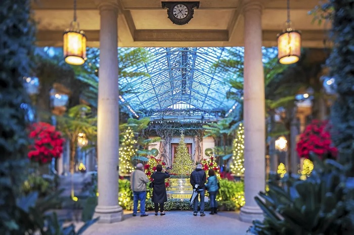 Vườn Hoa Hồng Vũ Garden: Trải Nghiệm Phong Cách Ý Giữa Lòng Bình Dương