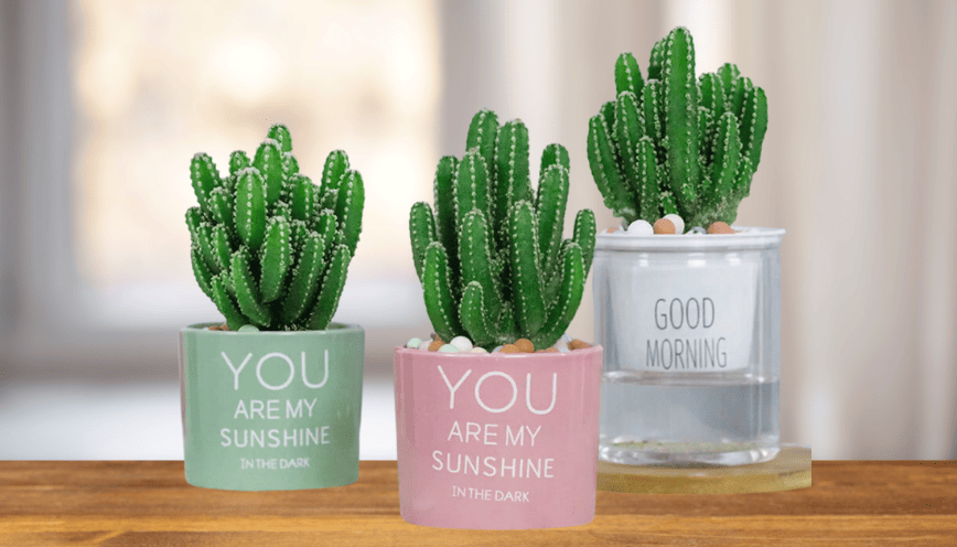 Cách Làm Đất Mùn Trồng Cây Để Tối Ưu Dinh Dưỡng Cho Vườn Nhà