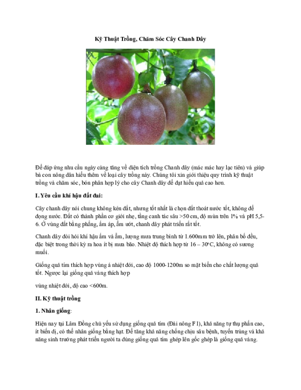 Kỹ Thuật Cách Trồng Hoa Hồng Tỉ Muội Bằng Hạt Hiệu Quả Nhất Cho Người Mới Kỹ Thuật Cách Trồng Hoa Hồng Tỉ Muội Bằng Hạt Hiệu Quả Nhất Cho Người Mới