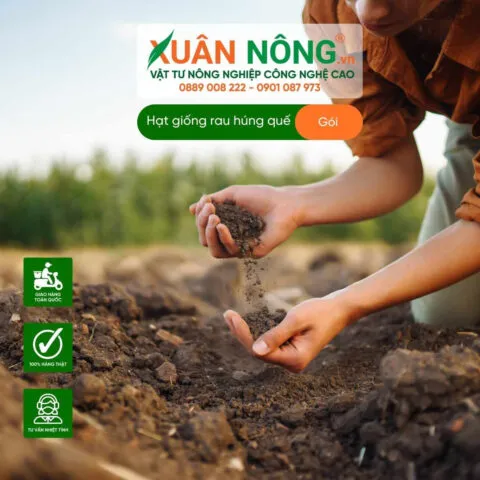 Người làm vườn đang chuẩn bị đất trồng gấc tại nhà bằng cách trộn phân hữu cơ và đất mặt để đảm bảo dinh dưỡng và độ tơi xốp cho bộ rễ.