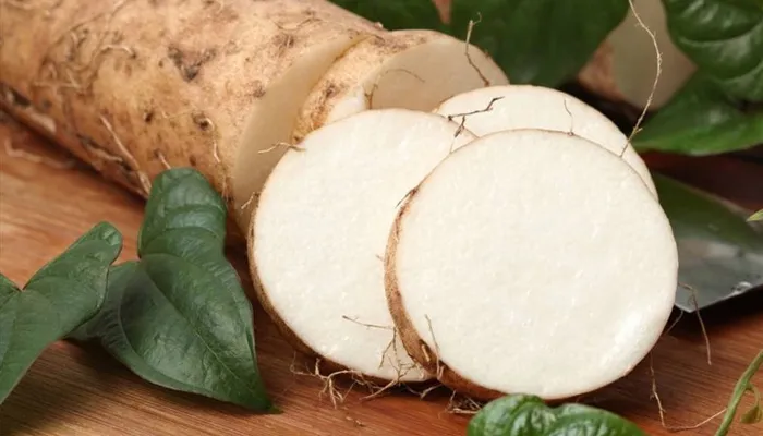 Công dụng đa dạng của củ khoai từ trong ẩm thực và y học