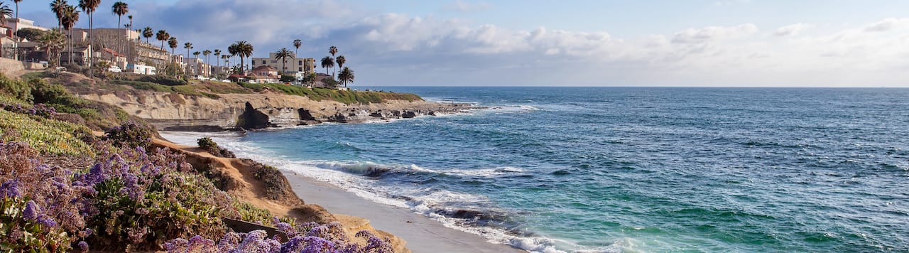 Hướng Dẫn Cách Trồng Hành Củ Toàn Diện: Trồng Lá Xanh Tươi Ngay Tại Nhà