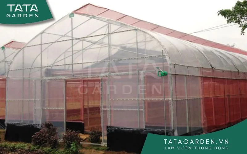 Nhà kính trồng rau sạch là gì: Cấu trúc và khái niệm