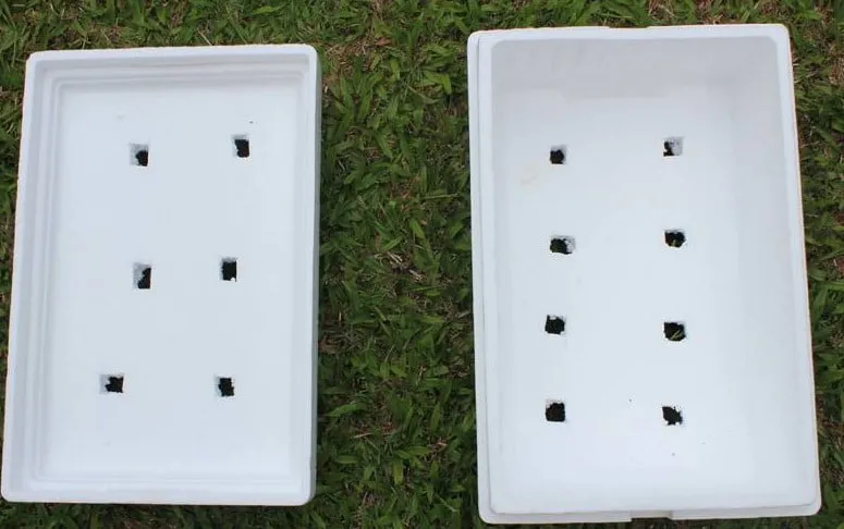 Chuẩn bị thùng xốp và lỗ thoát nước theo kỹ thuật trồng rau cải xoong trong thùng xốp