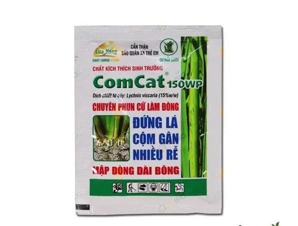 Cách Trồng Cây Lộc Vừng Mới Bứng Đạt Tỷ Lệ Sống Cao Và Chăm Sóc Chuyên Sâu Cách Trồng Cây Lộc Vừng Mới Bứng Đạt Tỷ Lệ Sống Cao Và Chăm Sóc Chuyên Sâu