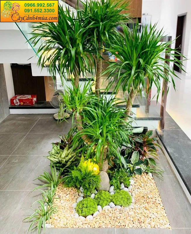 Trồng tiểu cảnh kiểu Nhật Bản hài hòa