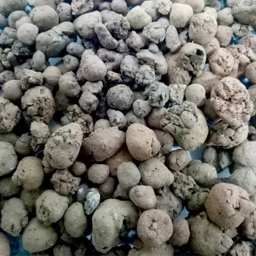 Viên đất nung (sỏi nhẹ) - giá thể tối ưu cho cách trồng lan đất