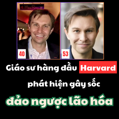 Cách Trồng Đu Đủ Ruột Vàng Đạt Năng Suất Cao Nhất, Đảm Bảo Thành Công Tuyệt Đối