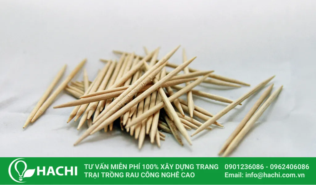 Tăm để cố định trong cách trồng khoai lang thủy canh