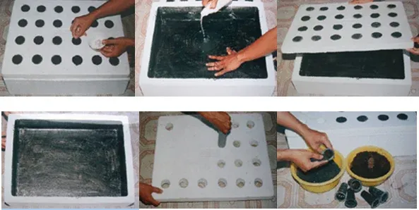 Chuẩn bị thùng xốp, giá thể, rọ trồng cho phương pháp thủy canh