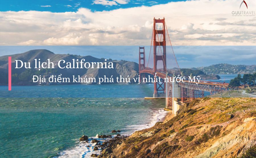 Khám Phá Vũ Garden: Hướng Dẫn Chi Tiết Từ Không Gian Xanh Đến Cách Trồng Đỗ Cove Chuyên Nghiệp