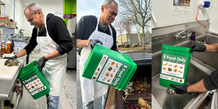 Hướng Dẫn Chi Tiết Cách Trồng Rong Nho Bằng Chậu Tái Chế Từ Chai Nhựa