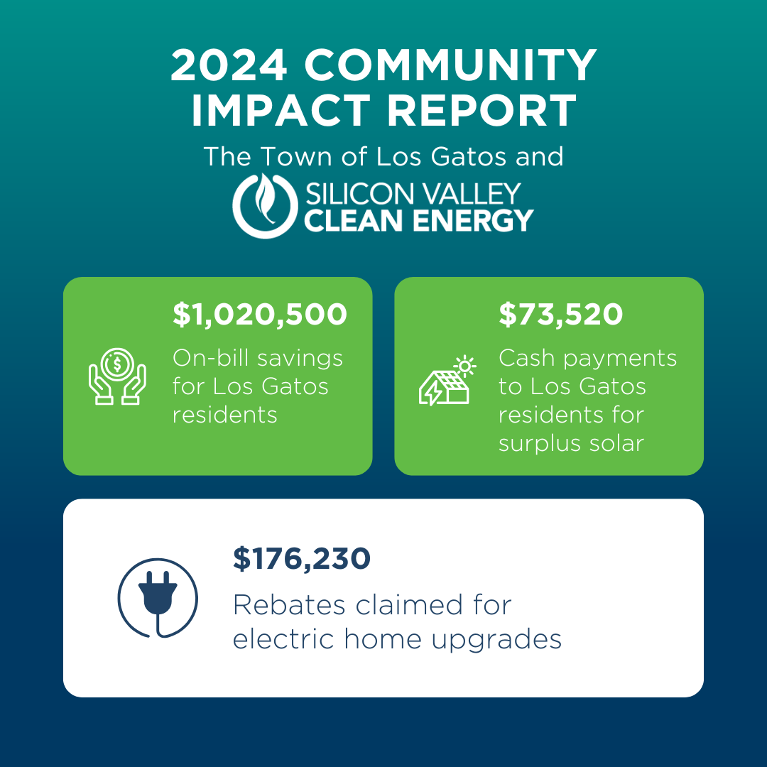 Kỹ Thuật Kích Lan Hồ Điệp Ra Hoa Tết Đúng Lịch Trình Từ Chuyên Gia