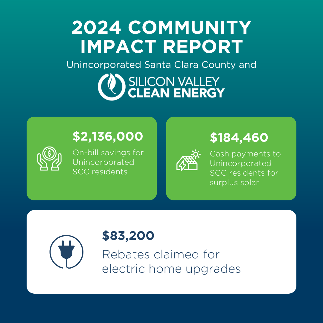 Kỹ Thuật Kích Lan Hồ Điệp Ra Hoa Tết Đúng Lịch Trình Từ Chuyên Gia