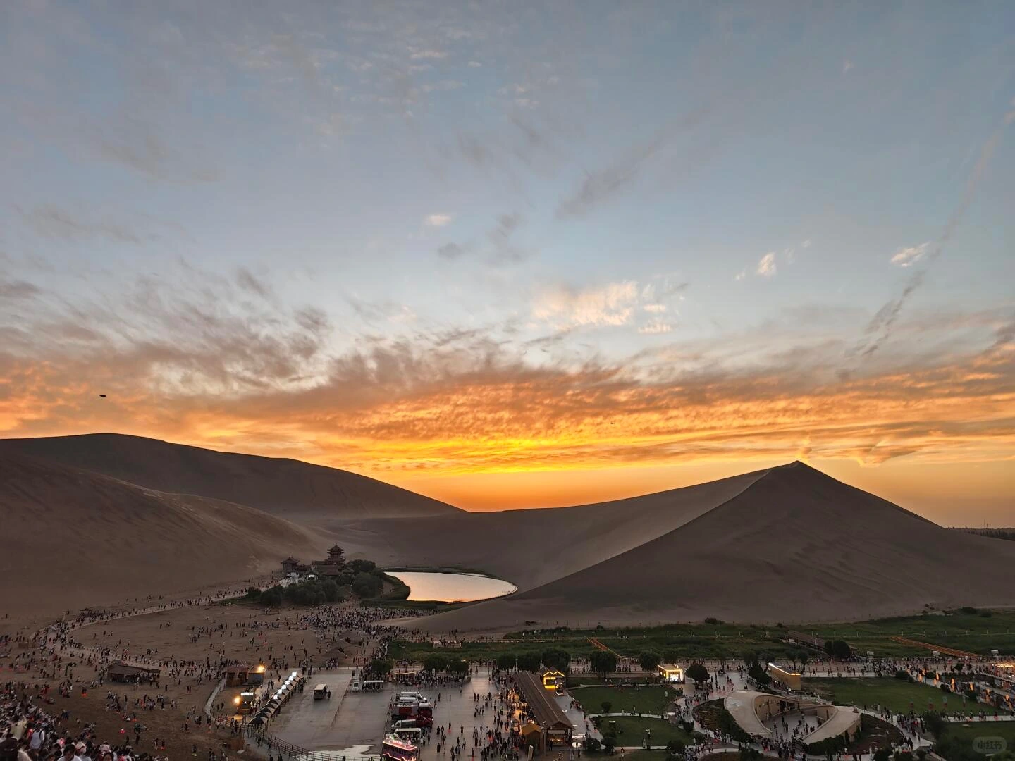 Cẩm Nang Chi Tiết Cách Trồng Cây Vạn Lộc Phát Triển Mạnh Khỏe