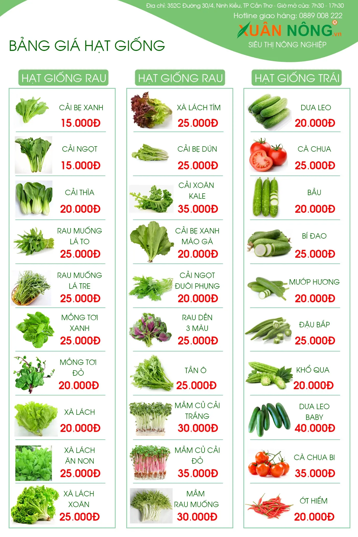 Những ngọn mồng tơi đỏ tươi ngon chuẩn bị thu hoạch