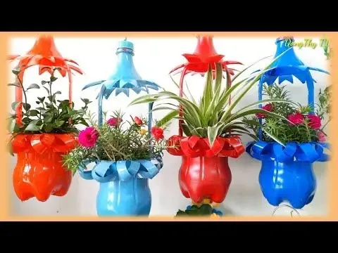 Tái Chế Chai Nhựa Thành Chậu Trồng Rau: Hướng Dẫn Xây Vườn Mini Tại Nhà