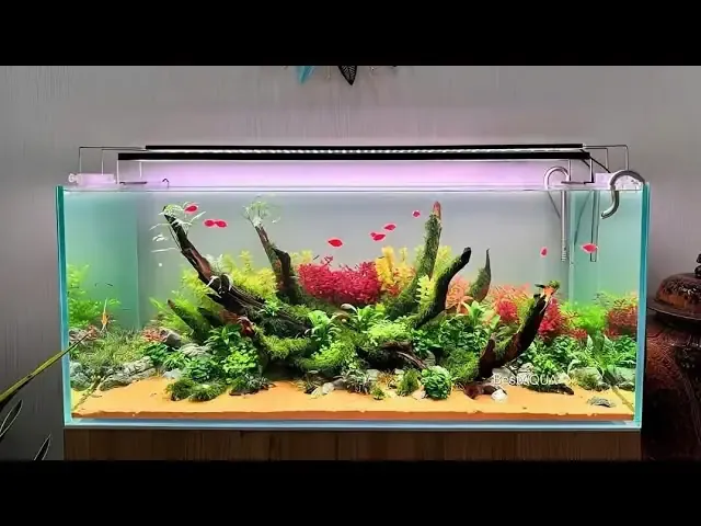 Góc vườn tối giản với cây xanh, thể hiện nghệ thuật trồng cây cảnh sáng tạo