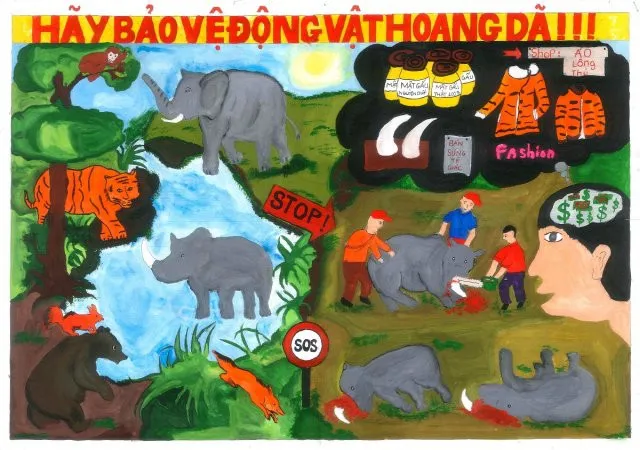 Bảo vệ gấu trúc, loài động vật quý hiếm, là cách bảo vệ môi trường